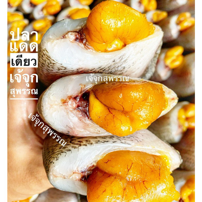 รูปภาพ 2