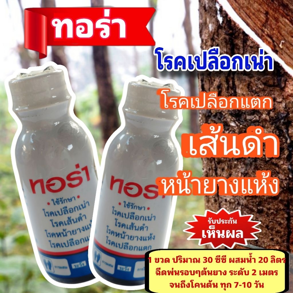ฮอร์โมนรักษาหน้ายางพาราสูตรเข้มข้น ตราทอร่า 30 ซีซี ใช้ฉีดพ่นโรคเปลือกแตก เส้นดำ น้ำยางไหล จำนวน 1 ขวด