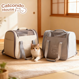 Cathouse กระเป๋าลายหมีlucky กระเป๋าใส่สัตว์เลี้ยง แมว สุนัข …