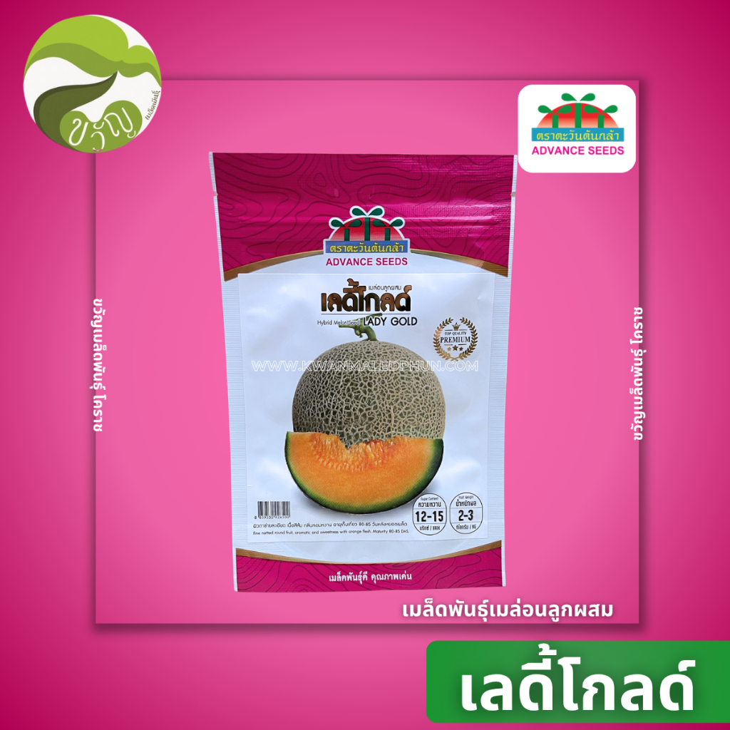 เมล็ดพันธุ์ เมล่อน ลูกผสม เลดี้โกลด์ ตรา ตะวันต้นกล้า