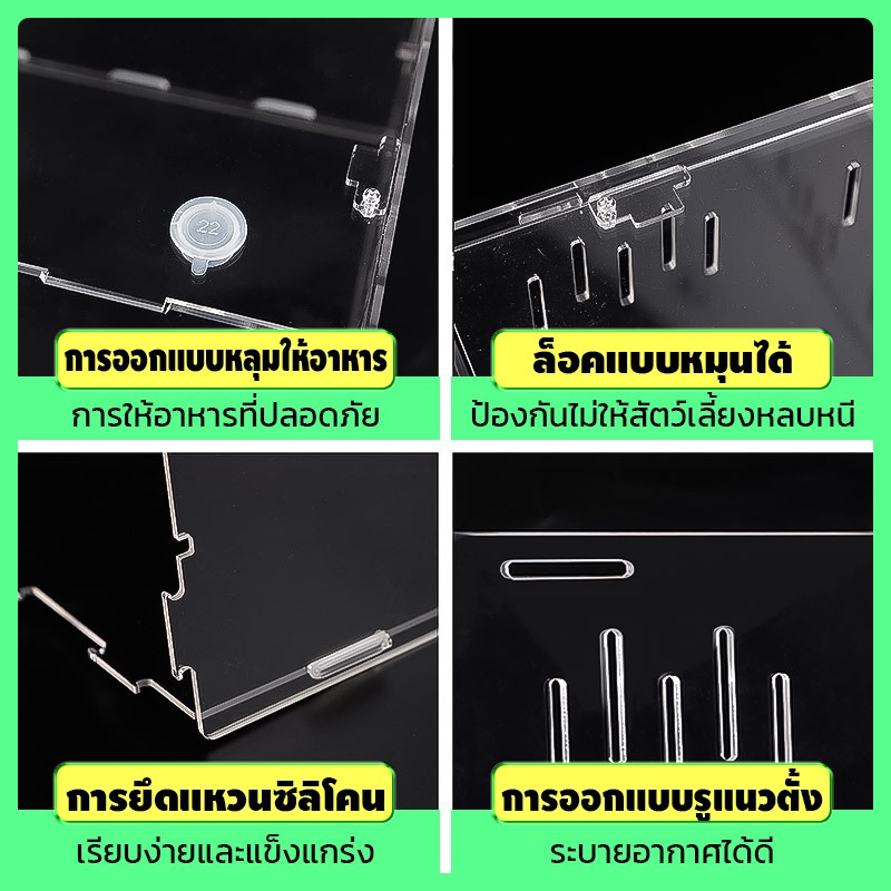 กล่องอะคริลิคใส กล่องแมลง กรงคริลิค มีเทอร์โมมิเตอร์ รูระบายอากาศรอบกล่อง สัตว์เลื้อยคลาน แบบประกอบ - รูปที่ 3