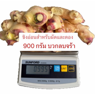 ขิงกึ่งไปทางแก่มากกว่าอ่อนตามฤดูกาลกึ่งอ่อนกึ่งแก่ส่งตรงจากส…