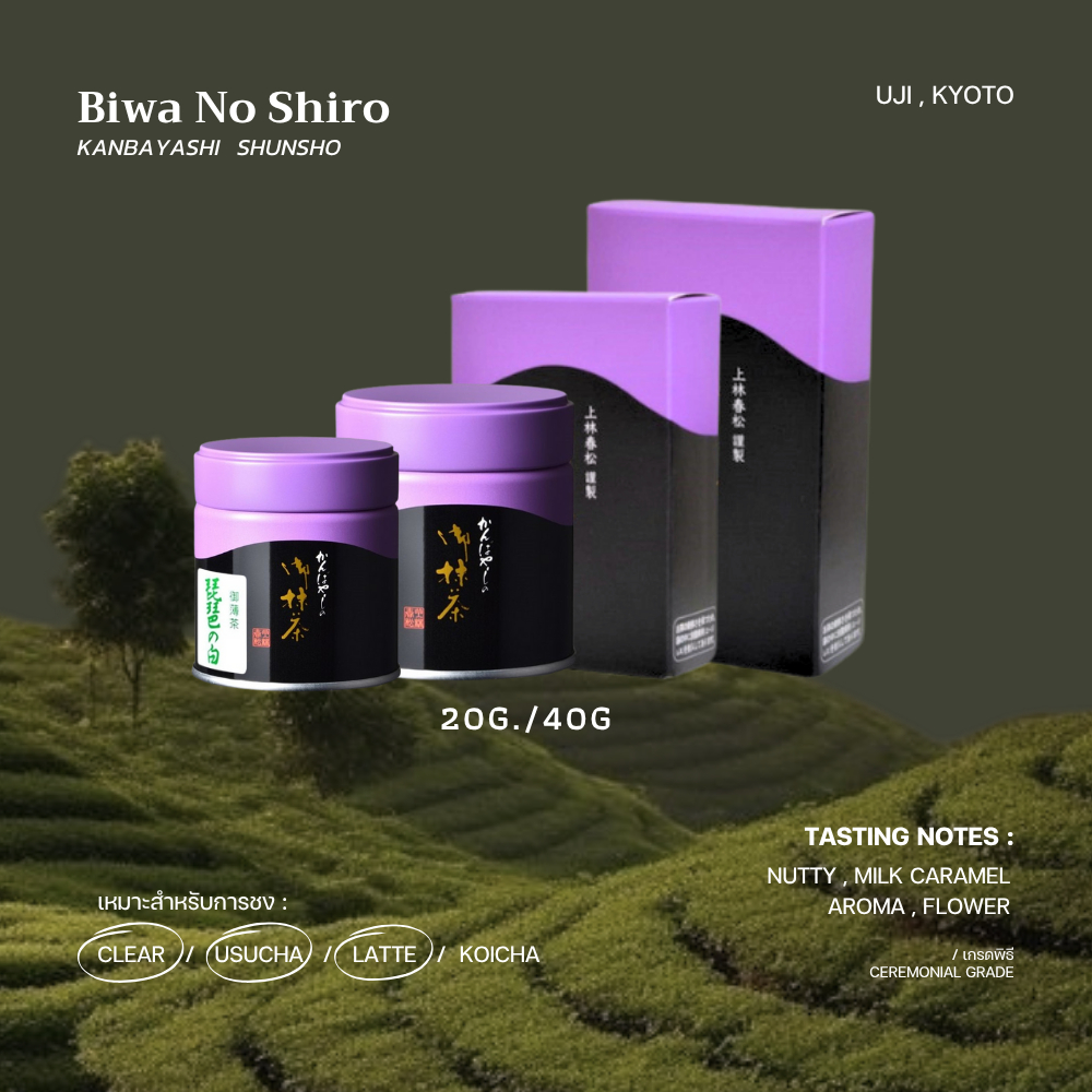 มัทฉะเกรดพิธี "Biwa No Shiro" - KANBAYASHI  SHUNSHO