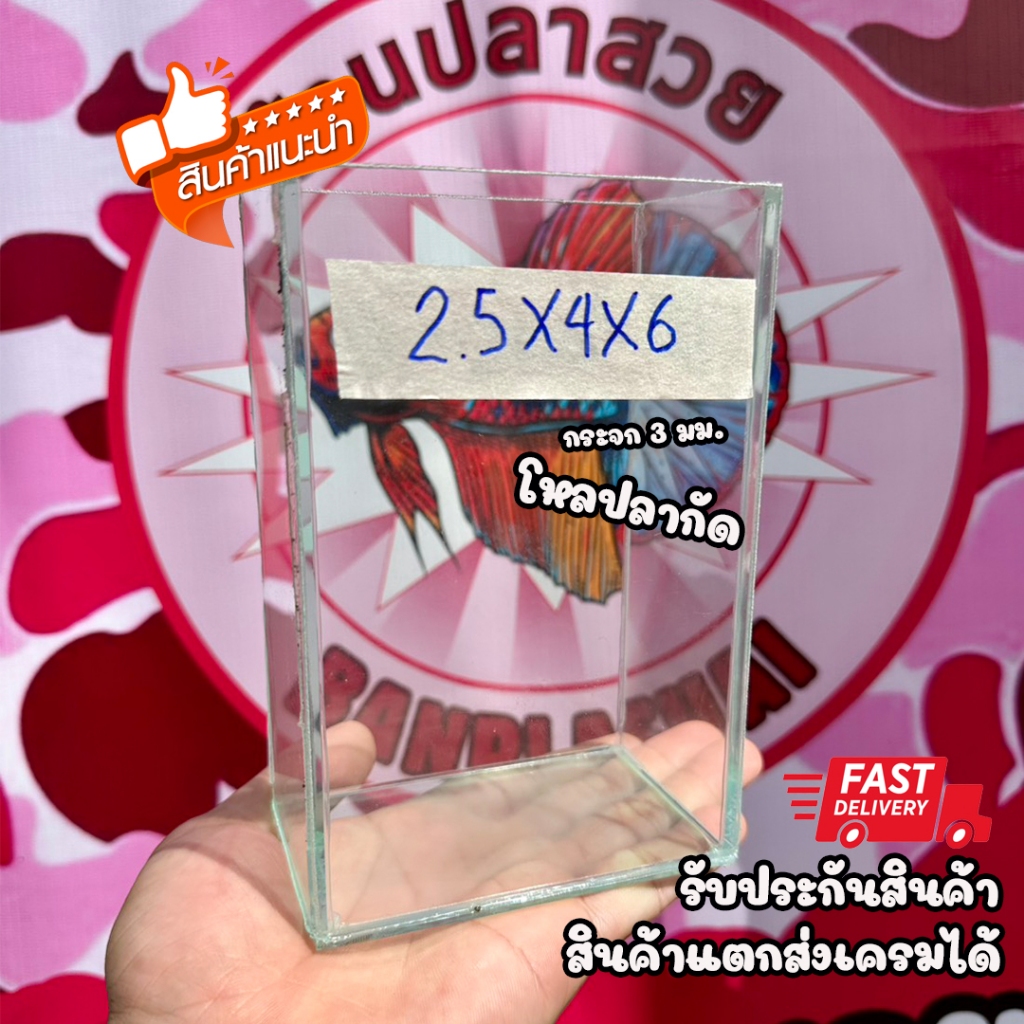 โหลปลากัด ขนาด2.5x4x6นิ้ว หนา3มิล กาวใส