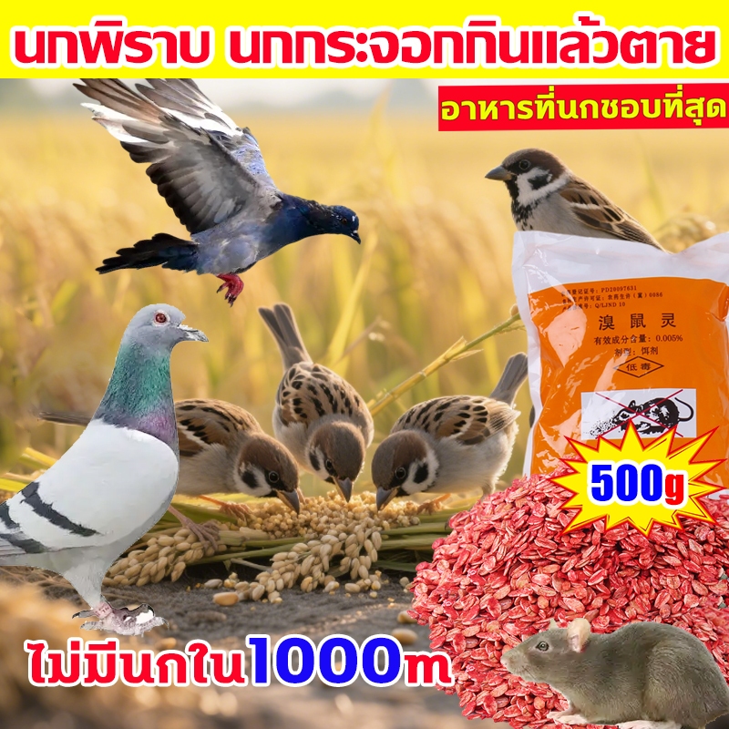 200% ได้ผล ยาเบื่อ นกพิราบ ยากำจัดนกพิราบ ยาเบื่อนก ไล่นก ก้อนไล่นก กำจัดนก เหยื่อกำจัดนกพิราบ เบื่อนกพิราบ ยาฆ่านกพิรา