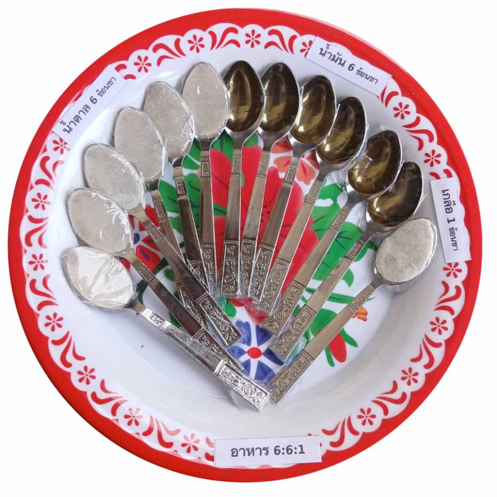 โมเดลอาหาร 661 ลดหวานมันเค็ม อาหารปลอม ขนาด 25 ซม.