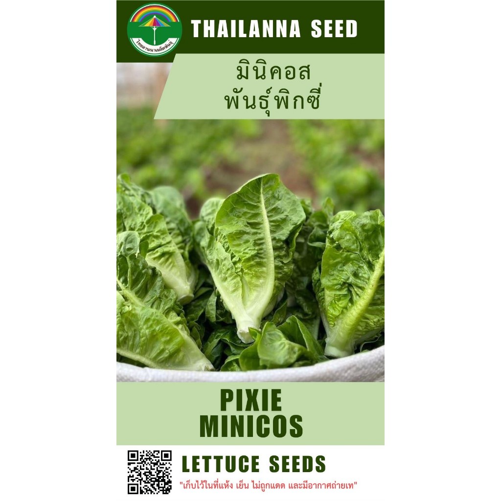 เมล็ดพันธุ์ผักสลัด มินิคอส พันธุ์พิกซี่ ( ขนาด 0.5 กรัม ) รหัสสินค้า 3021
