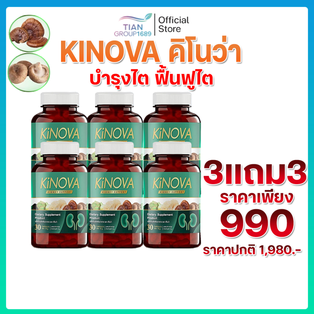 Kinova คิโนว่า บำรุงไต ฟื้นฟูร่างกาย สมุนไพรแท้ (1 กระปุก / 30 แคปซูล)