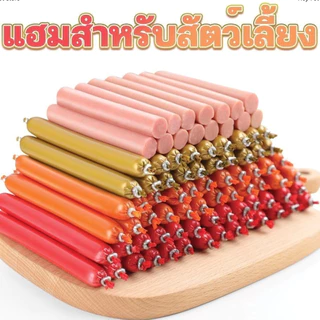 🥇1THBแฮมสัตว์เลี้ยง🥇ขนมขบเคี้ยวสำหรับสัตว์เลี้ยง สัตว์เลี้ยงกัดฟัน Stick อาหารปากสำหรับสุนัข ของว่างแมวและของว่างสุนัข