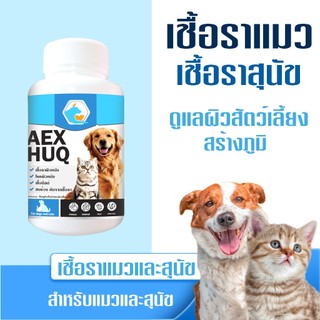 AEXHUQ สร้างภูมิ  คัน เกา ขนร่วง เชื้อราแมว/สุนัข ดูแลผิวหนังสัตว์เลี้ยง