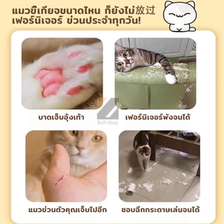 ของแท้! กล่องกระดาษแมว 4 ไซส์ ซื้อ 1 แถม 1 ทนข่วน ไม่เหลือง ใหญ่ ใช้ได้ทั้งปี