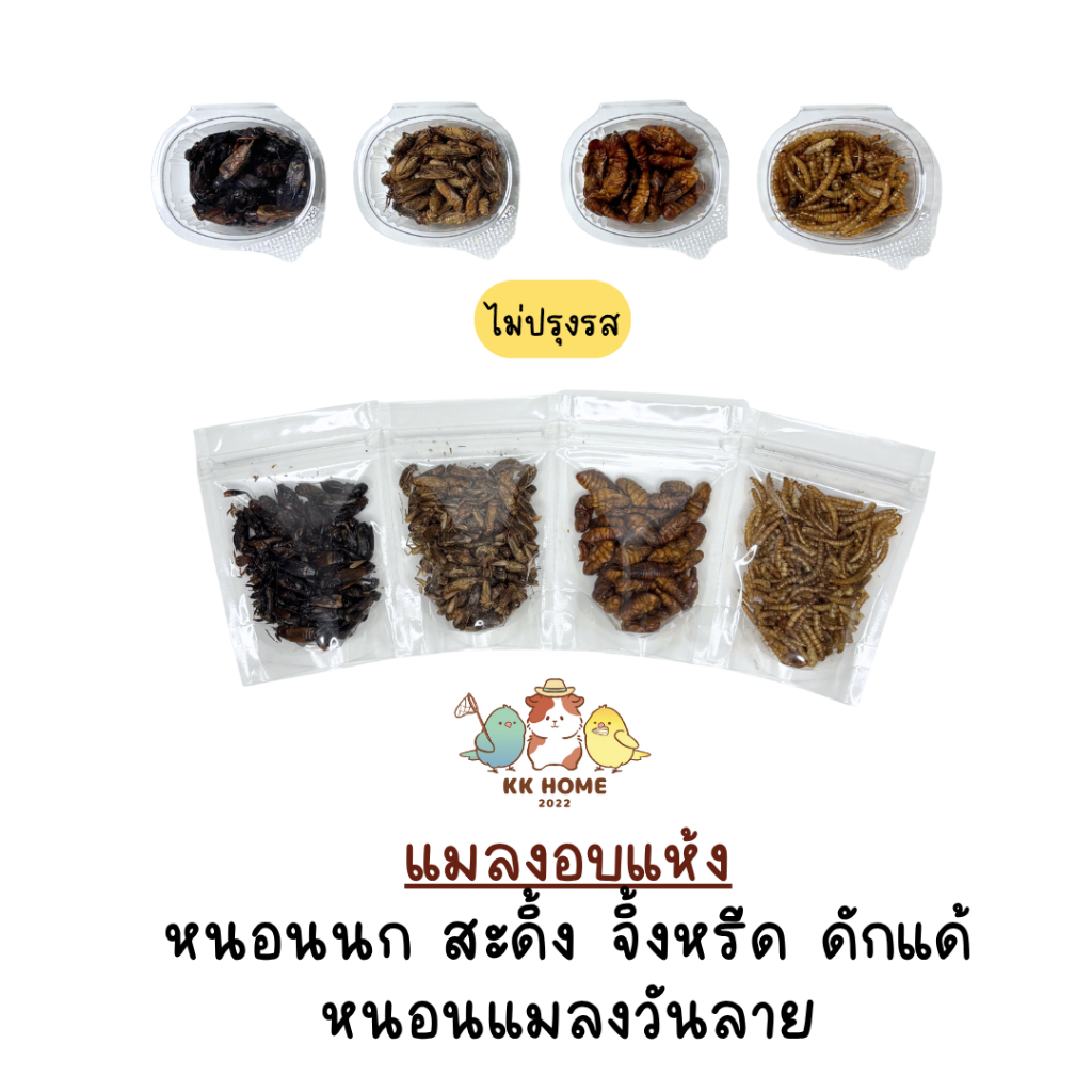 จิ้งหรีดอบแห้ง สะดิ้งอบแห้ง ดักแด้อบแห้ง หนอนอบแห้ง แมลงอบแห้ง อาหารสัตว์เล็ก แฮมเตอร์ ชูการ์ไกรเดอร์ เม่นแคระ กระรอก