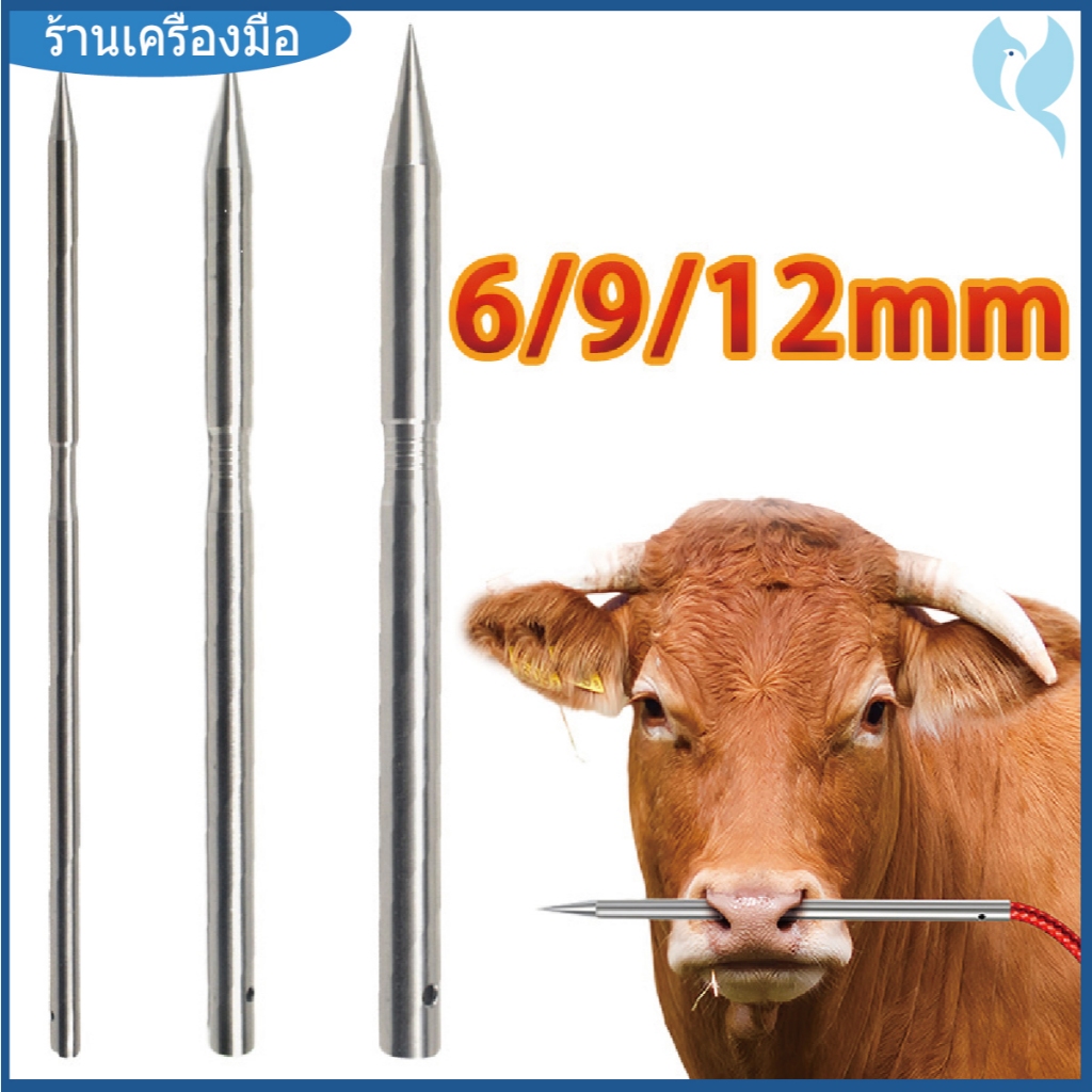 เข็มเจาะจมูกวัว เข็มเจาะจมูกวัวสแตนเลส เข็มเจาะจมูกวัว ลวดสลิง สิ่งประดิษฐ์ เครื่องเจาะ เข็มเจาะสแตนเลสสแตนเลส 304