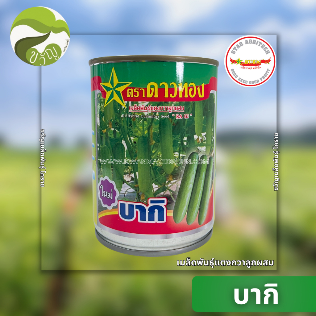เมล็ดพันธุ์ แตงกวา ลูกผสม บากิ ตรา ดาวทอง 100 กรัม ลอตใหม่