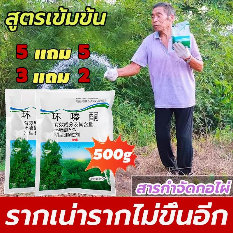 [ซื้อ 3 แถม 2 ฟรี]รากเน่ารากไม่ขึ้นอีก!! 500g ยากำจัดต้นไม้ สารกำจัดกอไผ่ ผงกำจัดต้นไผ่ ยาฆ่าตอไม้ สูตรเข้มข้น ราคา ถูกที่สุด ดีลบีเคเค
