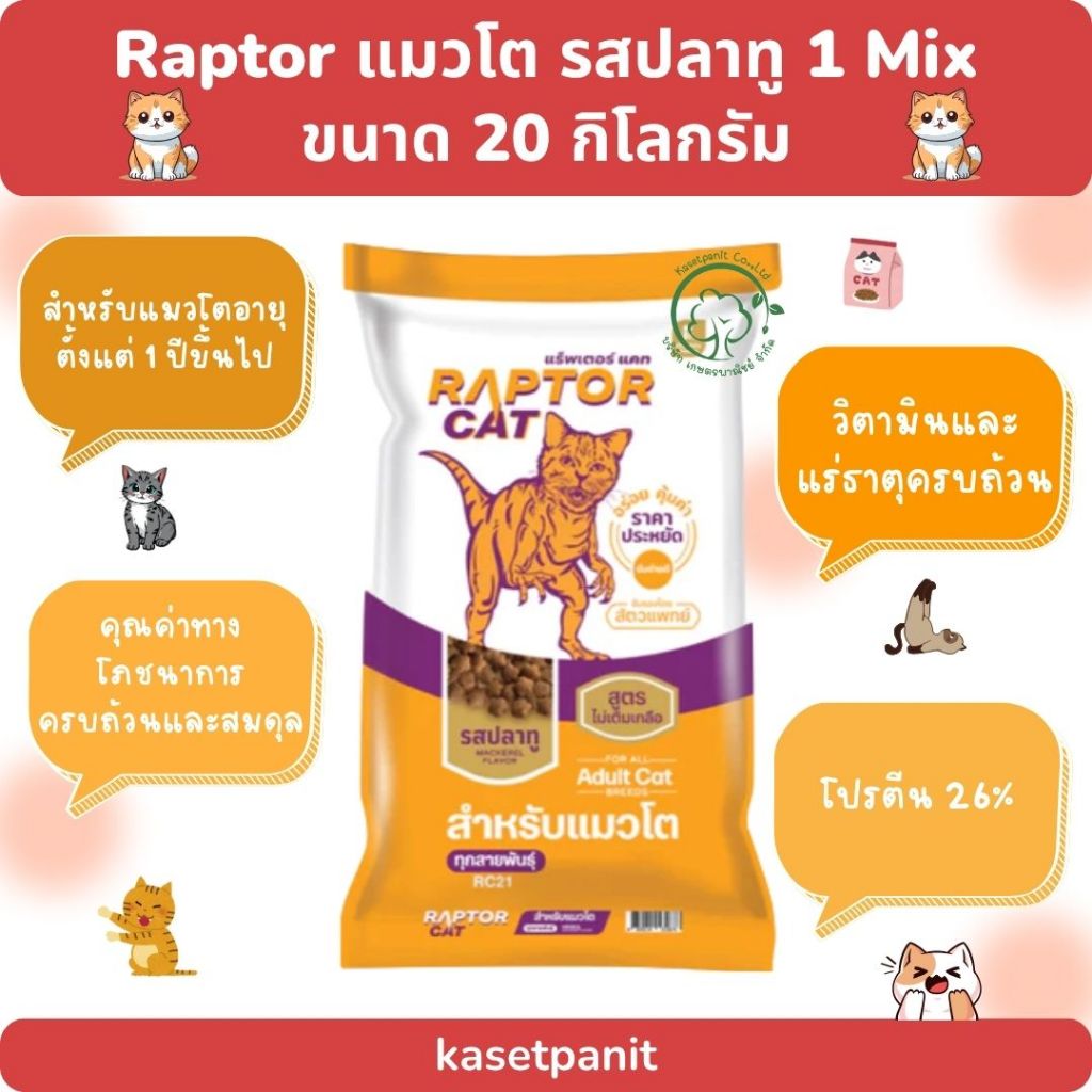 Raptor แมวโต รสปลาทู 1 mix (20 kg)