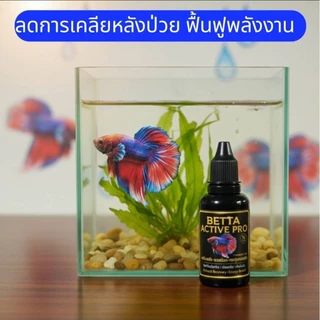 BETTA ACTIVE PRO สำหรับปลากัด ปลาสวยงาม