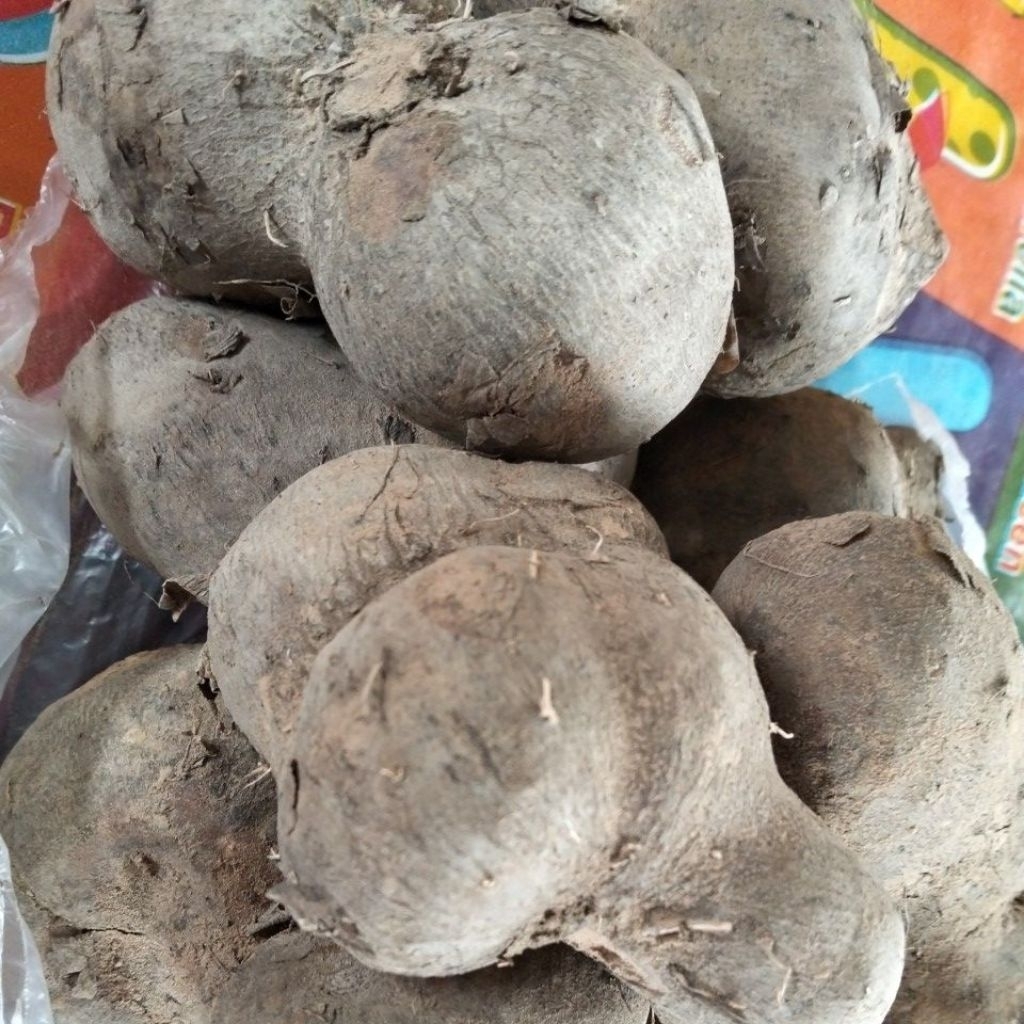 มันพร้าว(อร่อยเหนียวหนึบ)