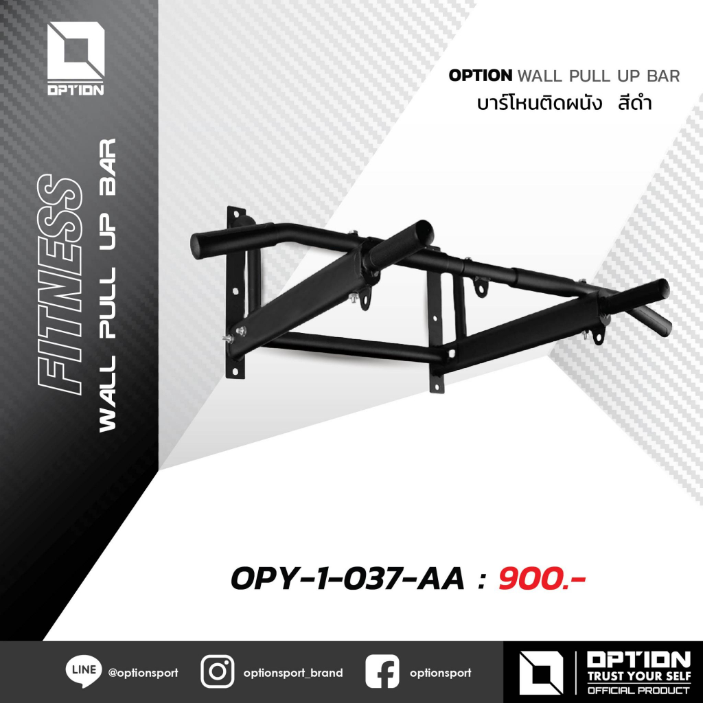 OPTION နံရံကပ် Pull Up Bar OPY-1-037-AA