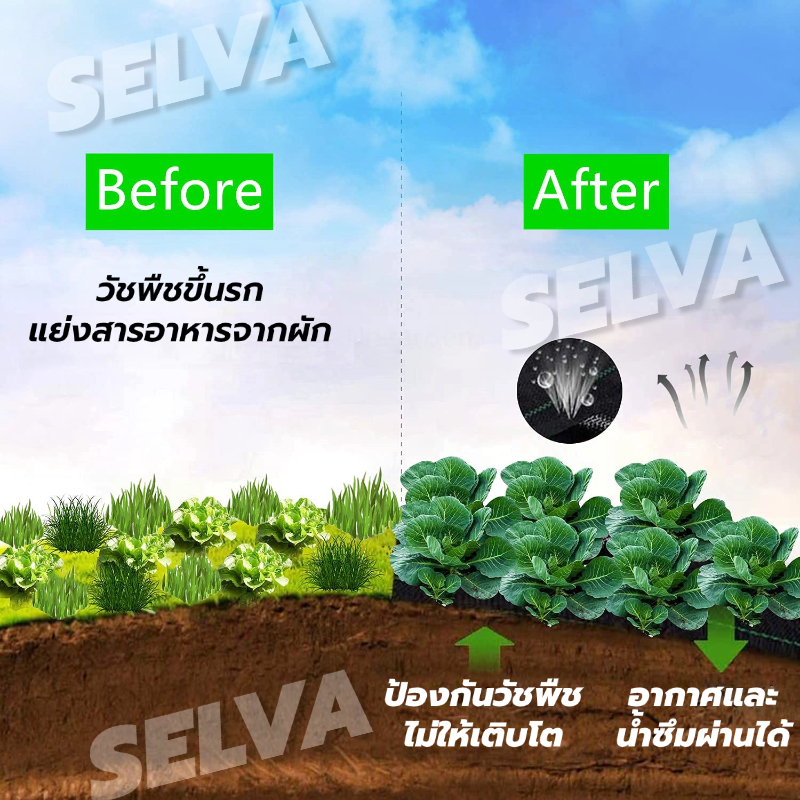 พลาสติกคลุมดิน ผ้าคลุมดิน พลาสติกเหนียวพิเศษ ผ้าคลุมหญ้า ช่วยคงความชุ่มชื้นของผิวดิน คุณภาพสูง ถูกที่สุด รับป - รูปที่ 2