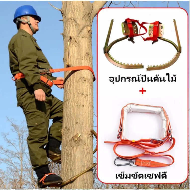 🦈อุปกรณ์ปีนต้นไม้ รองเท้าปีนต้นไม้.เครื่องมือปีนต้นไม้🦈เครื่องมือปีนเสา เข็มขัด นิรภัย ปีนเสาช่วงที่ปรับได้ 200*400mm