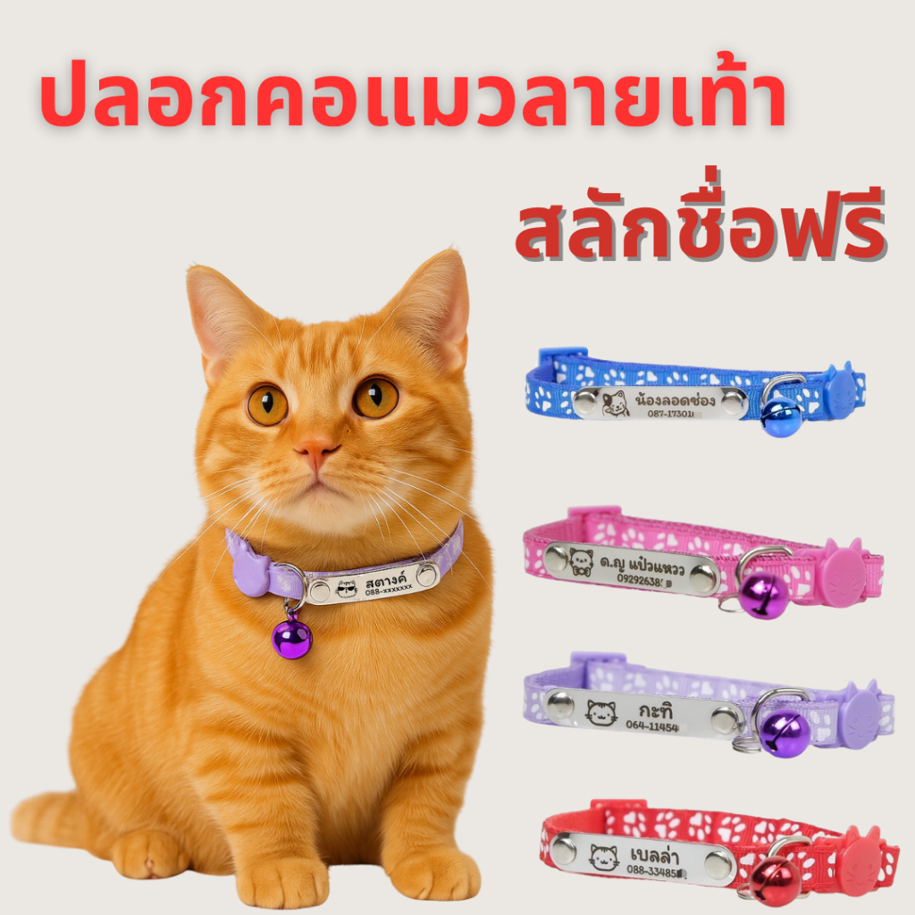 ปลอกคอแมว ปลอกคอนิรภัยสลักชื่อ🪄 เบอร์โทรฟรี ลายอุ้งเท้า แถมกระดิ่งฟรี
