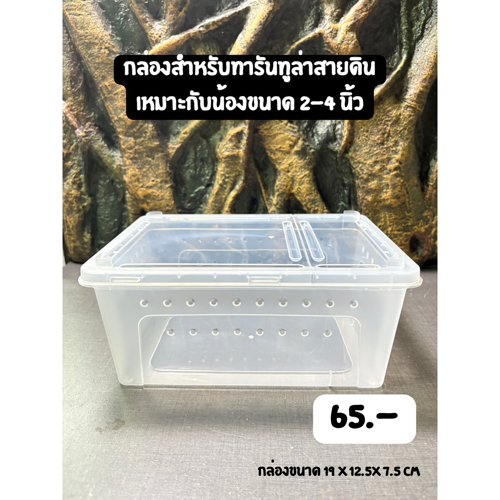 กล่องเลี้ยงทารันทูล่า กล่องเลี้ยงแมงมุมสายดิน กล่องเลี้ยงกบ กล่องพลาสติกเจาะรูระบายอากาศ (ขนาด 19x12.5x7.5 cm)