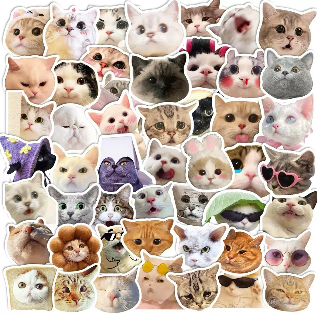 💥จัดส่งไว💥(012)สติกเกอร์ตกแต่งรูปหัวแมว 50 ชิ้น