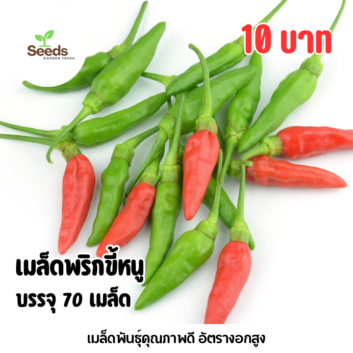 เมล็ดพริกขี้หนู บรรจุ 70 เมล็ด