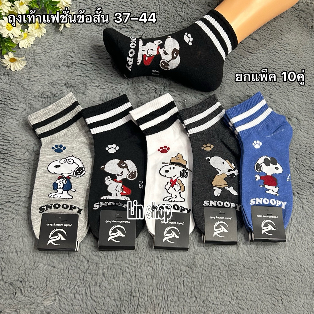 รูปภาพ 9