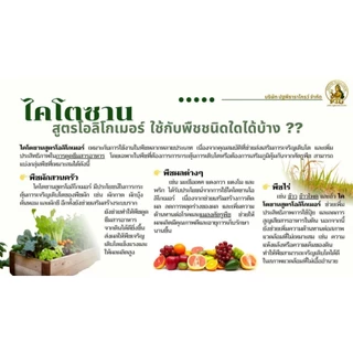 ชุดคู่หูมหัศจรรย์ปฐพีธารา สูตรดั้งเดิม