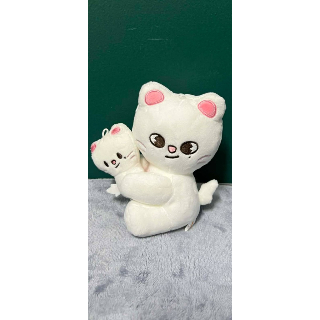 skzoo👶magnet🐣plush🐥🐥set