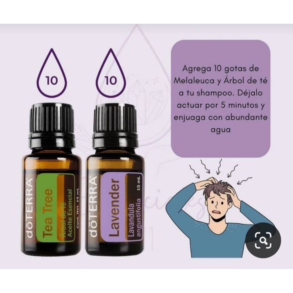 ขจัดรังแคด้วย Melaleuca(Tea Tree) & Lavender oil