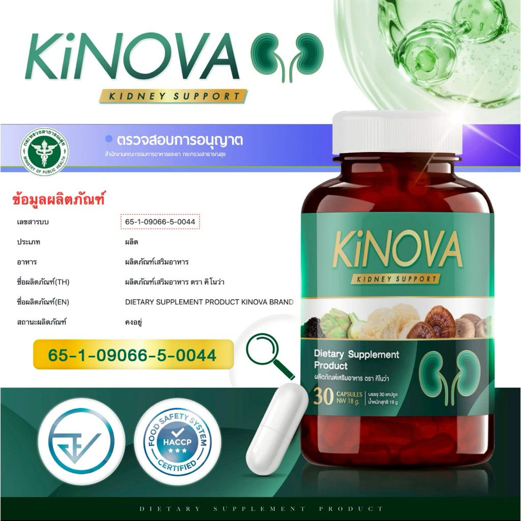 ผลิตภัณฑ์เสริมอาหารสุขภาพไต คิโนว่า KINOVA 1 กระปุก 30 แคปซูล รูปที่ 2
