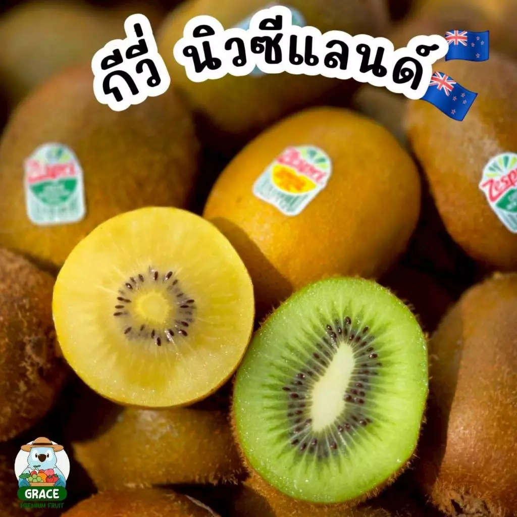 กีวี่ นิวซีแลนด์ สีเขียว/สีทอง แบรนด์ Zespri พรีเมี่ยม