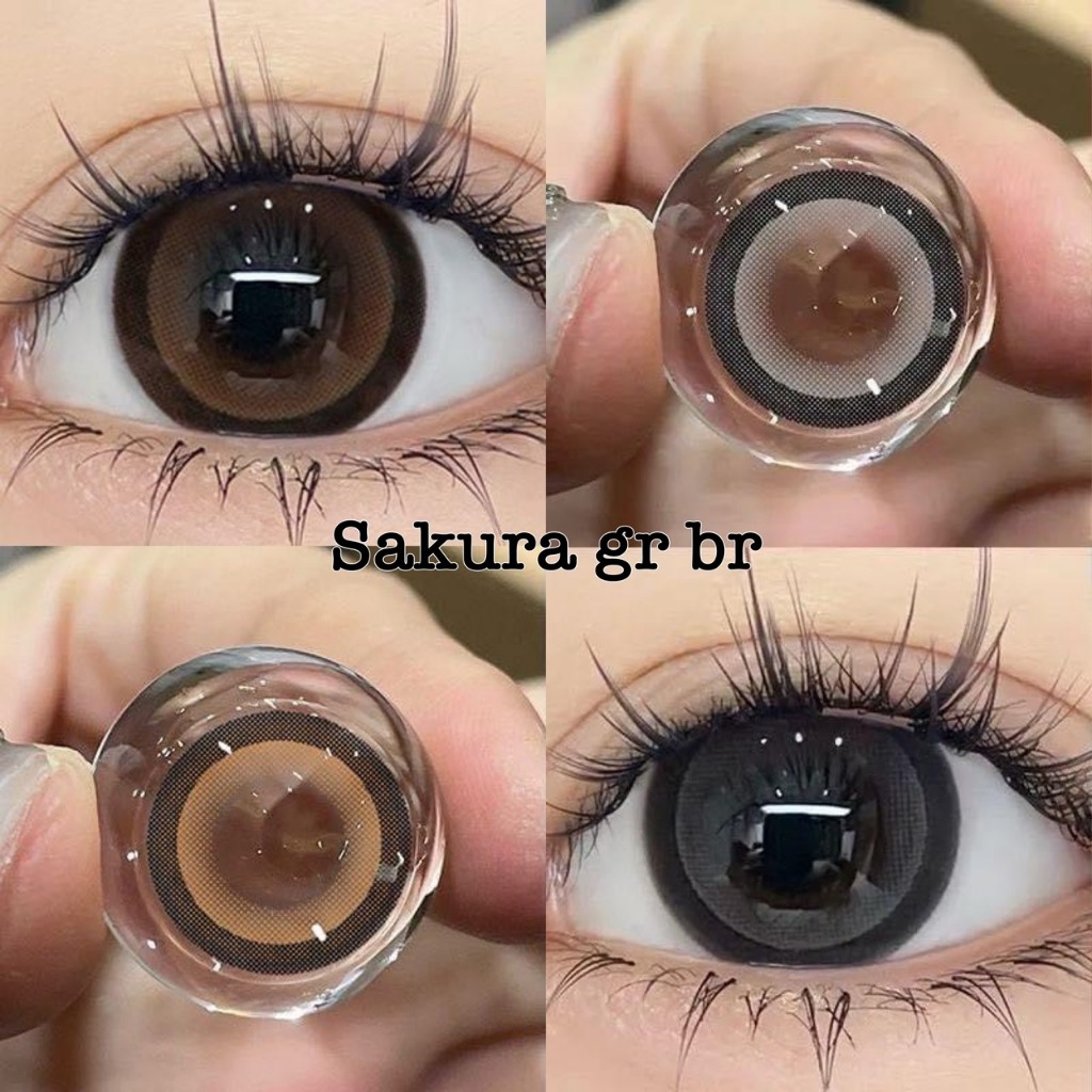 แฟชั่น สายตา 50-1000 บิ๊กอาย sakura Gavin Kissy Wink คอนแทคเลนส์ รายเดือน"สินค้าถ่ายจากเลนส์จริง"