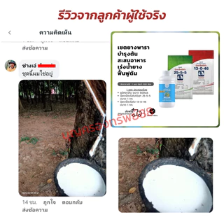 เซตเร่งน้ำยาง บำรุงหน้ายาง ช่วยฟื้นต้น สร้างเปลือกใหม่ได้เร็ว เปลือกนิ่ม กรีดง่าย เพิ่มปริมาณน้ำยาง