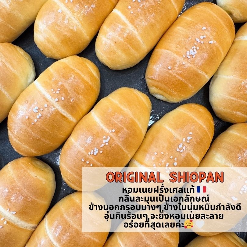 Sourdough Shiopan ชิโอะปัง ขนมปังเกลือ