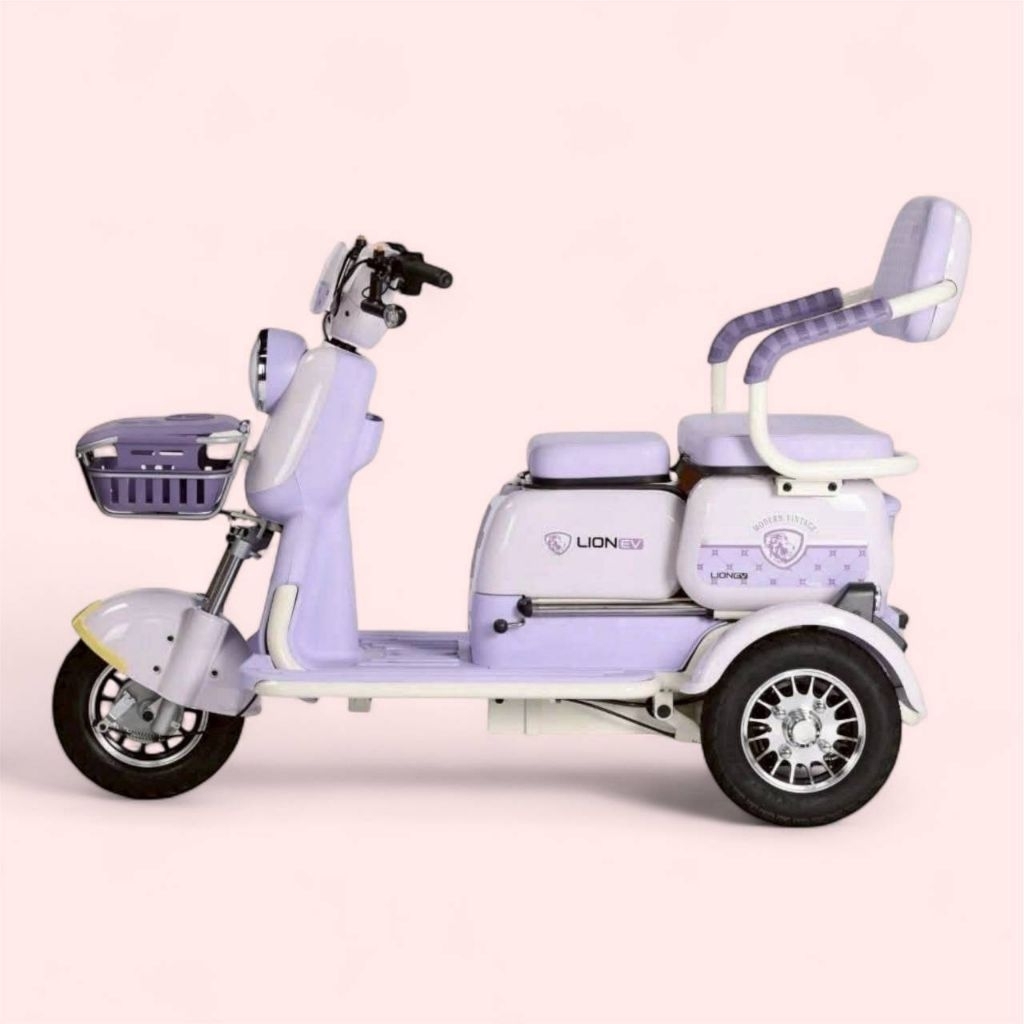 รถสามล้อไฟฟ้า Passenger Cart (Tricycle) ยี่ห้อ Lion รุ่น LNE-X10