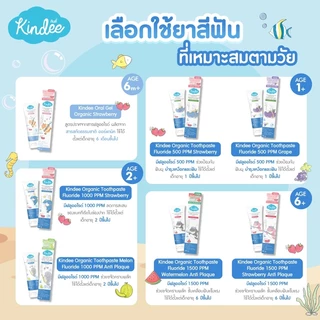 (ส่งด่วน) KINDEE ยาสีฟันเด็ก ออร์แกนิค สารสกัดจากธรรมชาติ ใช้ Xylitol แทนน้ำตาล