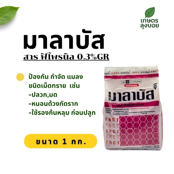 มาลาบัส กำจัดแมลงชนิดเม็ดทราย รองก้นหลุมก่อนปลูก