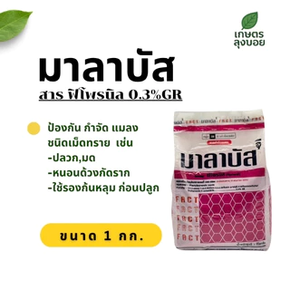 มาลาบัส กำจัดแมลงชนิดเม็ดทราย รองก้นหลุมก่อนปลูก