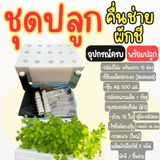 ชุดปลูกผักไฮโดรโปนิกส์ ชุดปลูกผักชี คึ่นช่าย อุปกรณ์ครบ พร้อมปลูก ( **เเถมเมล็ด** )