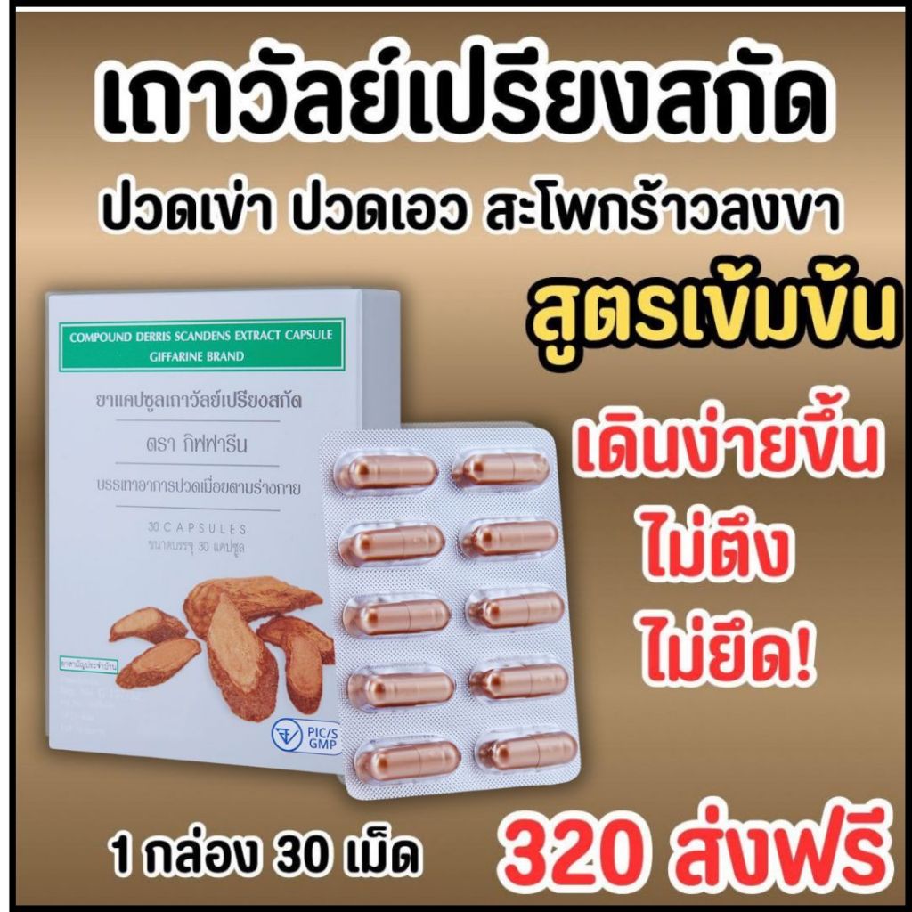 ยาแคปซูลเถาวัลย์เปรียง สกัดยาแผนไทย ผลิตภัณฑ์สมุนไพรขายทั่วไป ปวดข้อ ปวดเข่า กิฟฟารีน