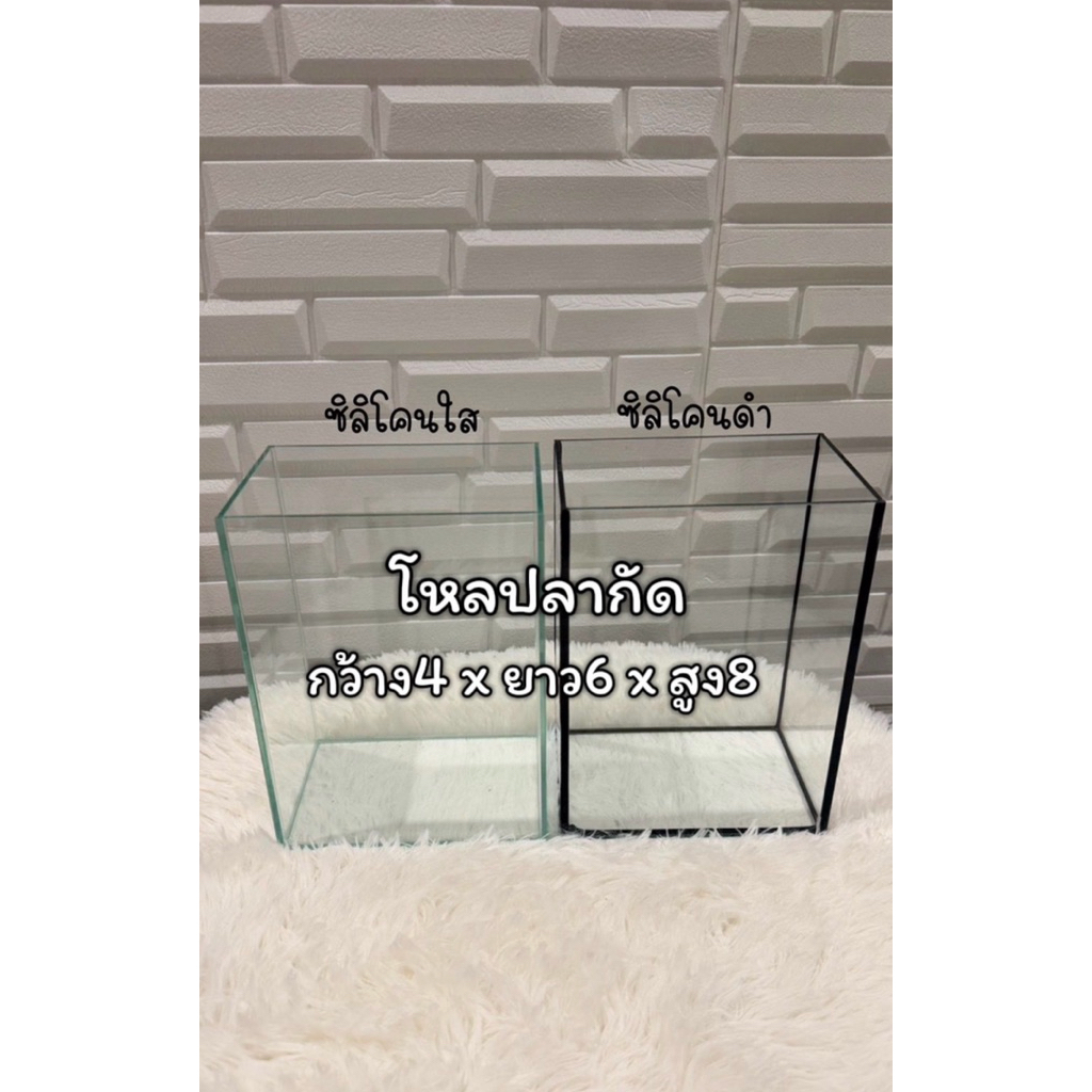 โหลปลากัด เหลี่ยมปลากัด ขนาด กว้าง4 x ยาว6 x สูง8 ซิลิโคนใส ซิลิโคนดำ
