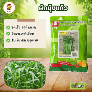 ผักบุ้งแก้ว แก้วใจ ตราน้ำเต้า เมล็ดพันธุ์ผักบุ้งแก้วคุณภาพสู…