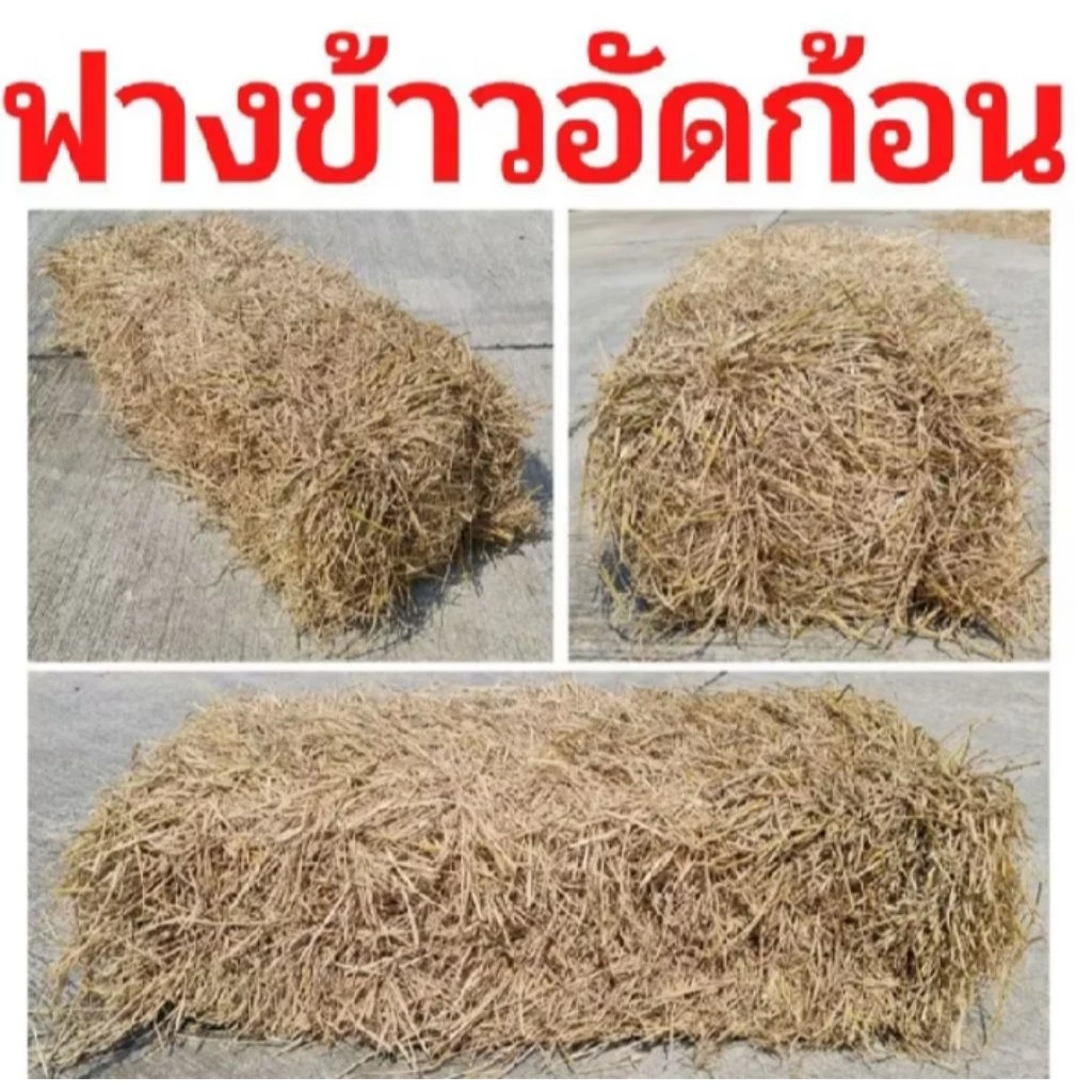 ฟางก้อนแบบแบ่ง สำหรับเลี้ยงสัตว์ เพาะพืช แบบ 1กิโล 5กิโล