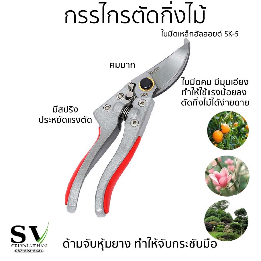 กรรไกรตัดกิ่งไม้ ใหม่ รุ่น V9 ขนาด 6 นิ้ว ด้ามสีแดง ใบมีดเหล็กอัลลอยด์ SK-5 อย่างดี ด้ามจับหุ้มยาง ทำให้จับกระชับมือ