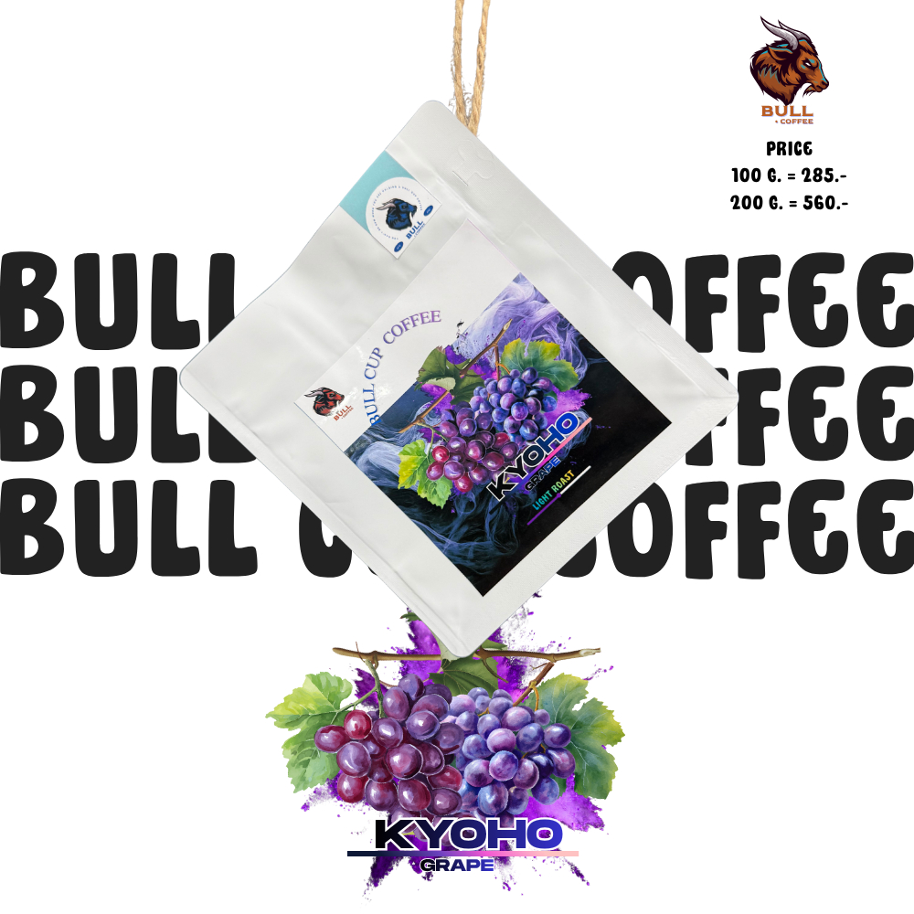 เมล็ดกาแฟคั่วอ่อน Colombia '' หมัก Kyoho grape "
