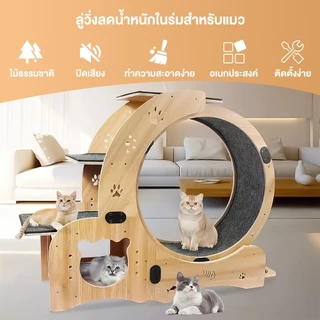 ลู่วิ่งสำหรับแมว ลู่วิ่งไม้สำหรับสัตว์เลี้ยง ลู่วิ่งสำหรับสัตว์เลี้ยง พร้อมที่นอนแมว ปีนป่ายได้